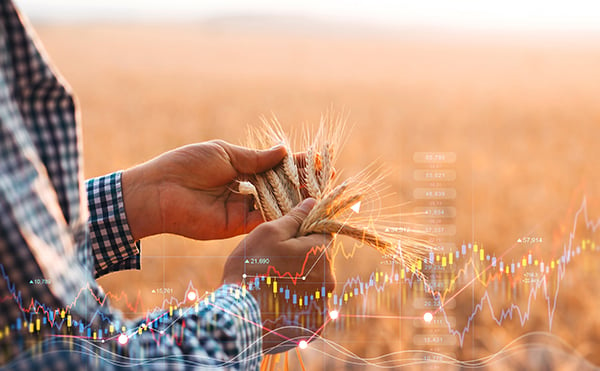 Overlay vs. harvesting a year-round decision