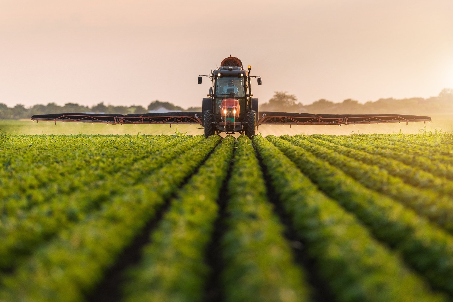 Media Partnership: The Scientific Basis of the Brazilian Agricultural  Revolution