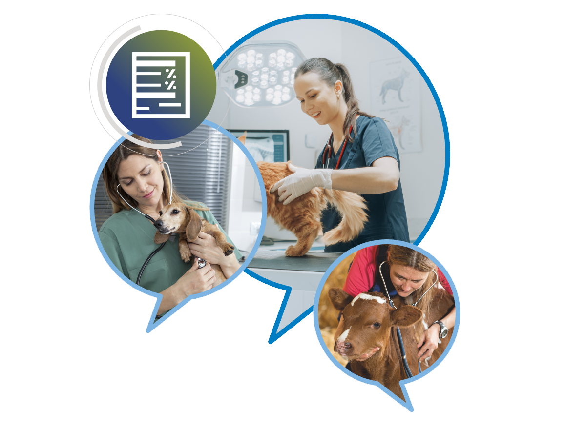 vet-voices-2-whitepaper