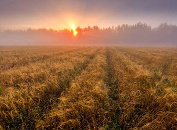 practices-and-trends-picture-1